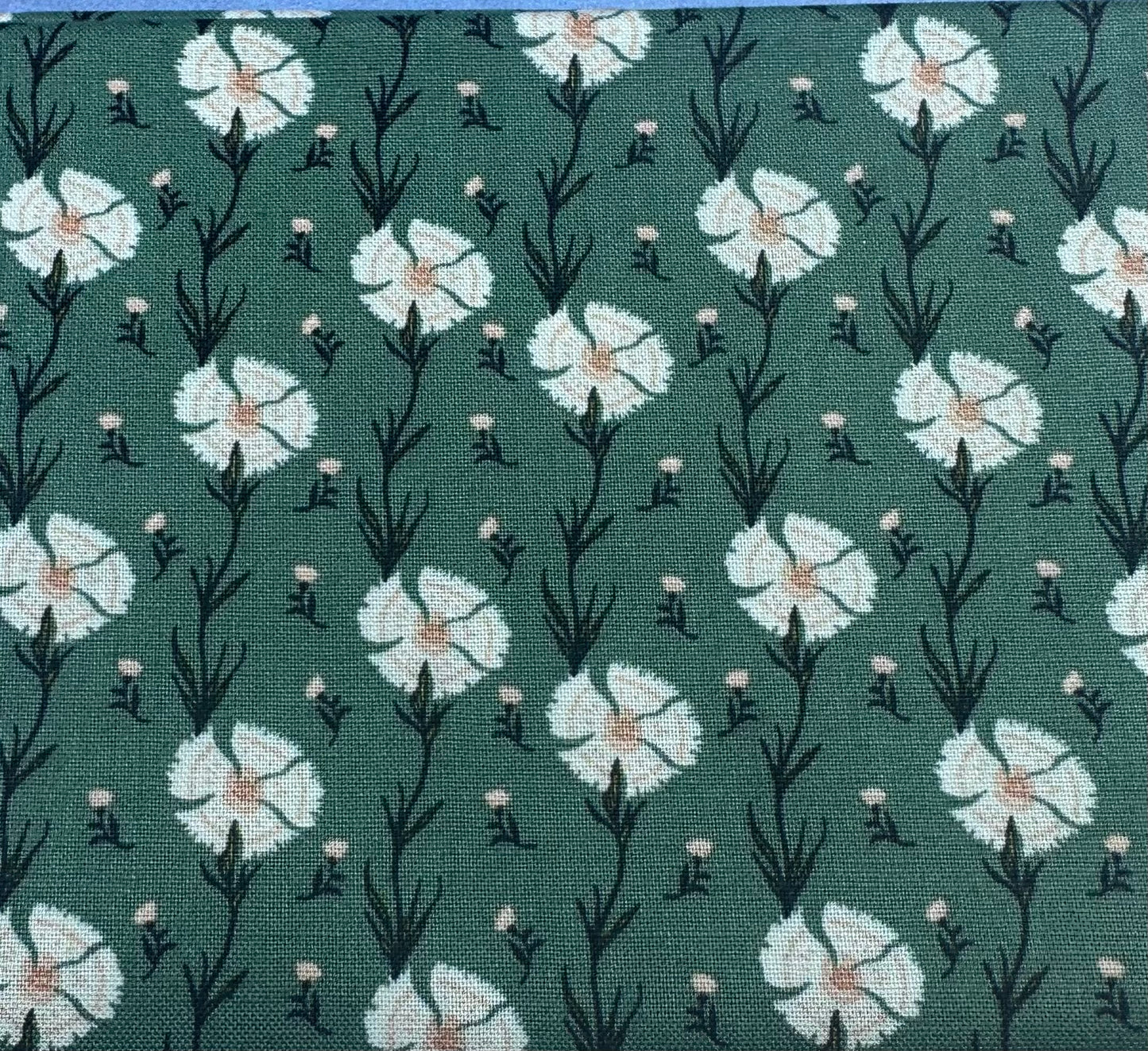 Fabric 21