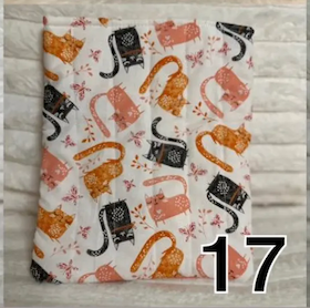 Book 17